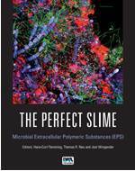 The perfect slime