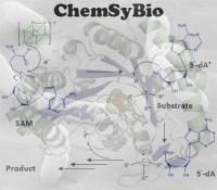 Logo_ChemSyBio
