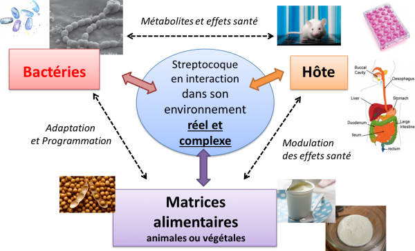 ComBac Thematique