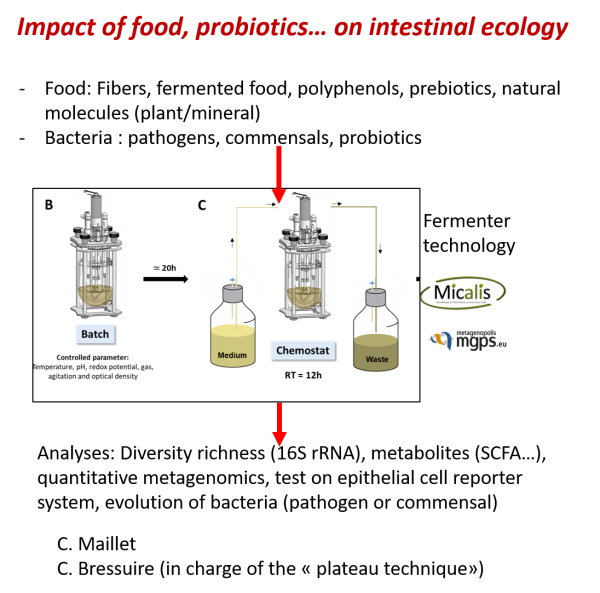 Projet aliment fibre