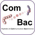 logo ComBac-site web