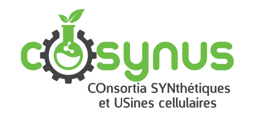 logo-web-transparent